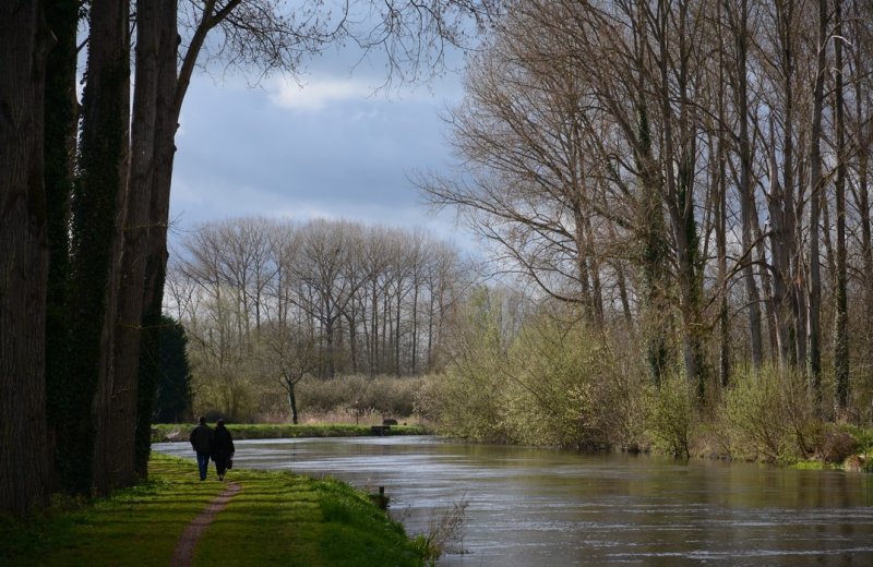 The Banks of the Somme