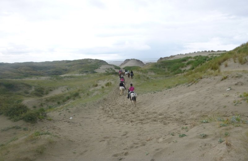 Poney Club du Marquenterre