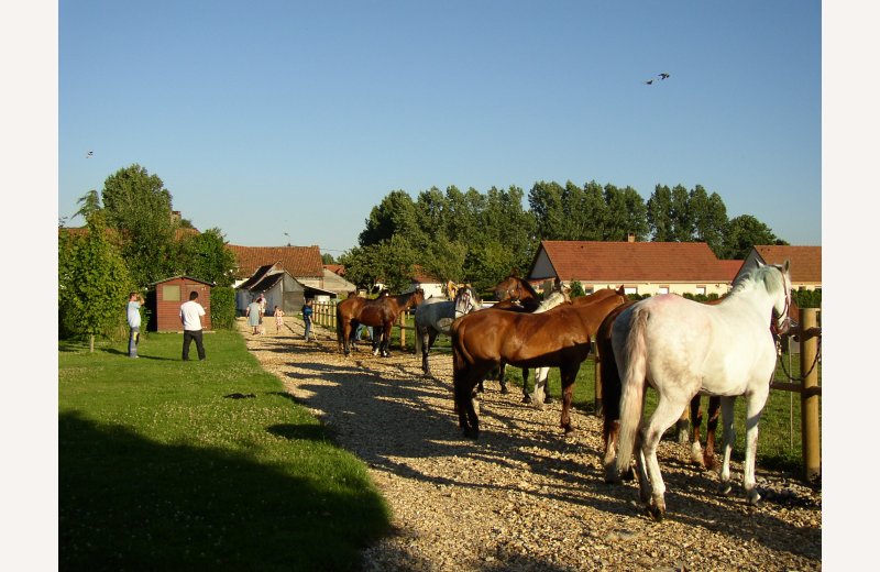 Les Peupliers