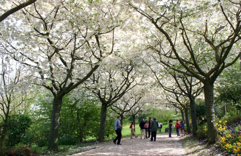 Jardins de Valloires