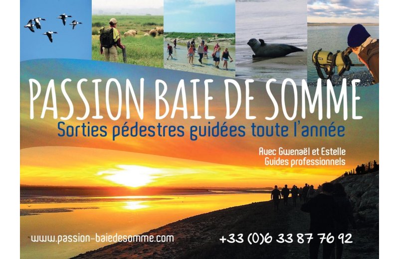 Passion Baie de Somme