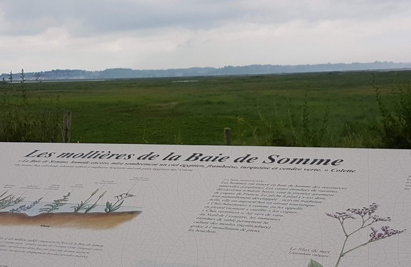 Belvédère les Mollières de la Baie de Somme