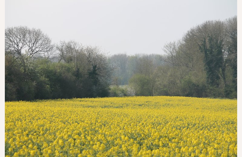 The Heights of Pont-Rémy