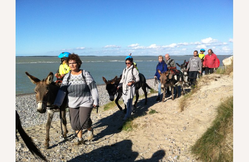 Escapades en Baie de Somme