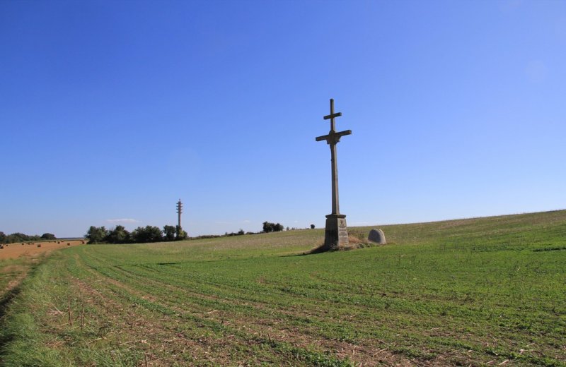 The 3 Fétus Walk