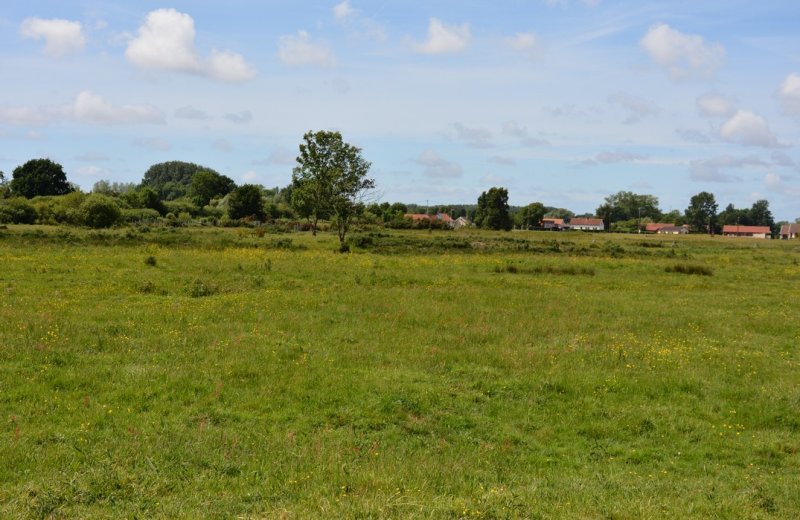 Le marais de Larronville