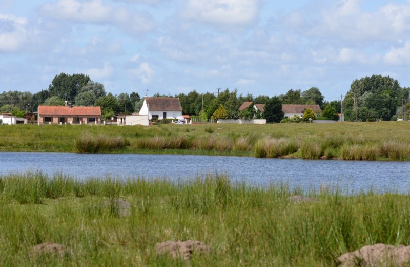 Le marais de Larronville