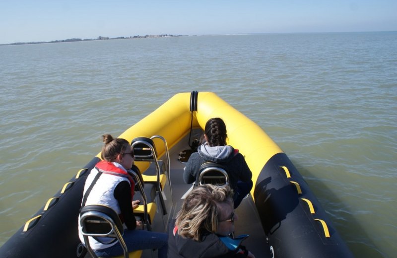 Cap Baie de Somme