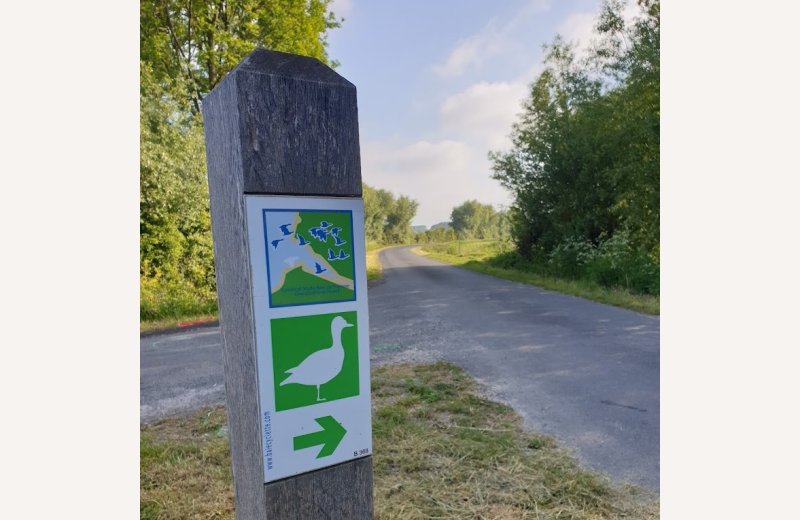 Circuit du Tadorne