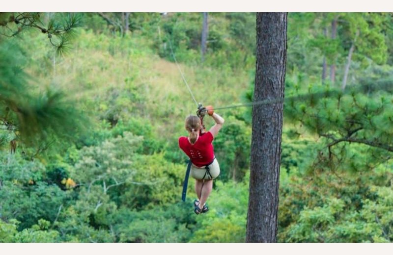 Arbre et Aventure