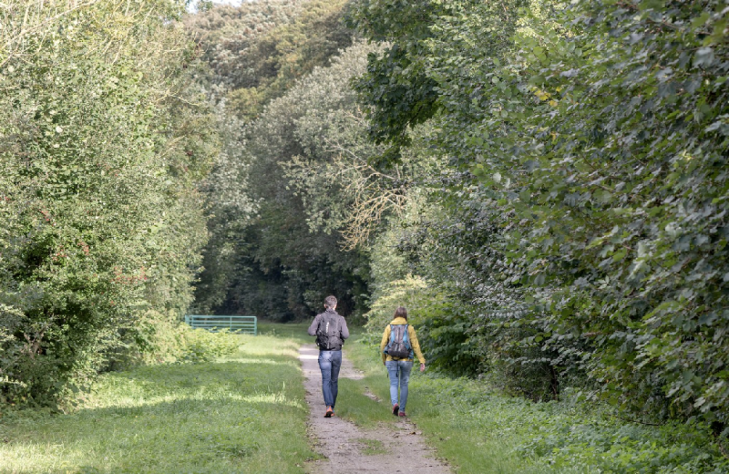 The "Centuloise" Walk around Saint-Riquier