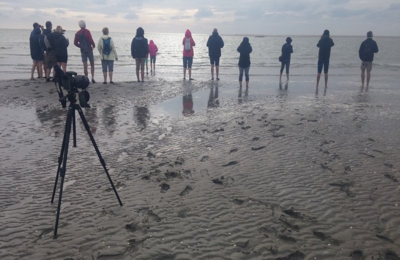 Maxim Guide en Baie de Somme