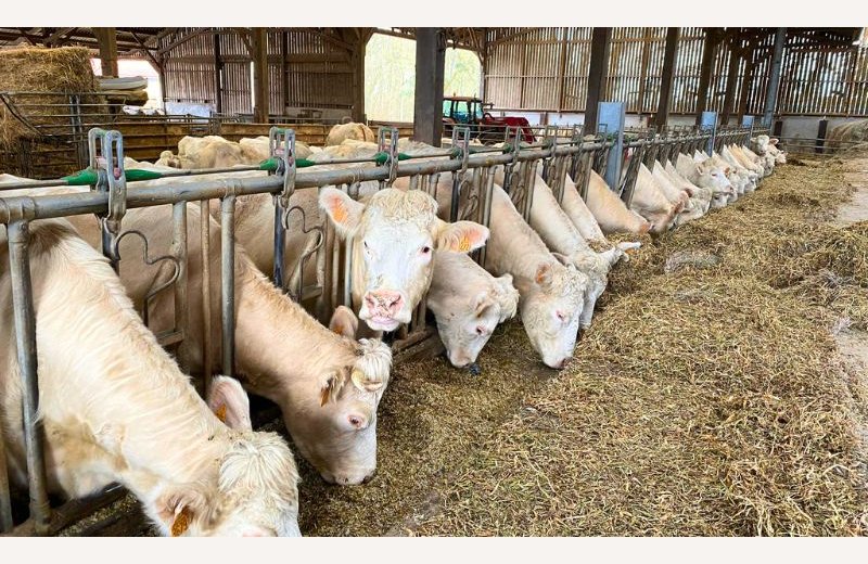 La Ferme des Prés Salés