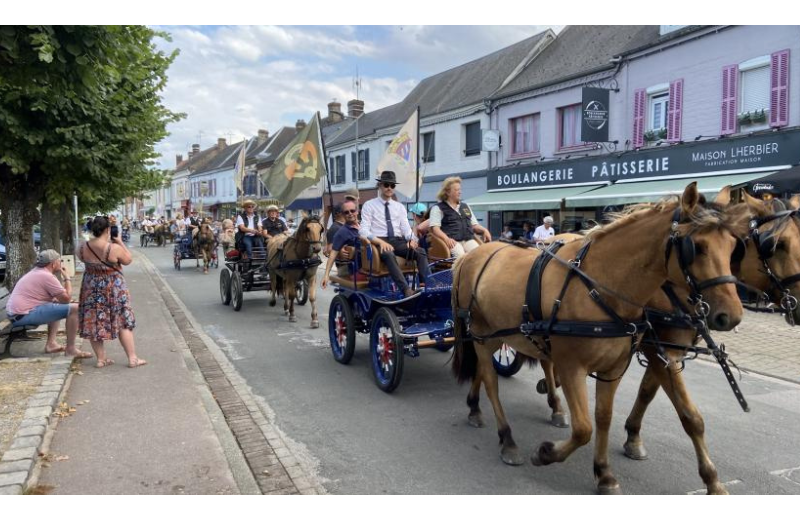 Ferya des Henson Au Haras-Henson de Rue