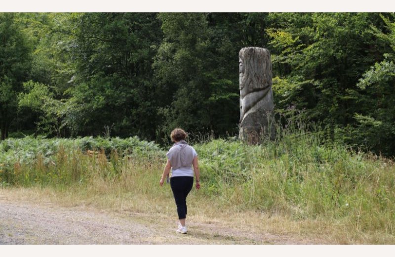 Forêt Domaniale de Crécy