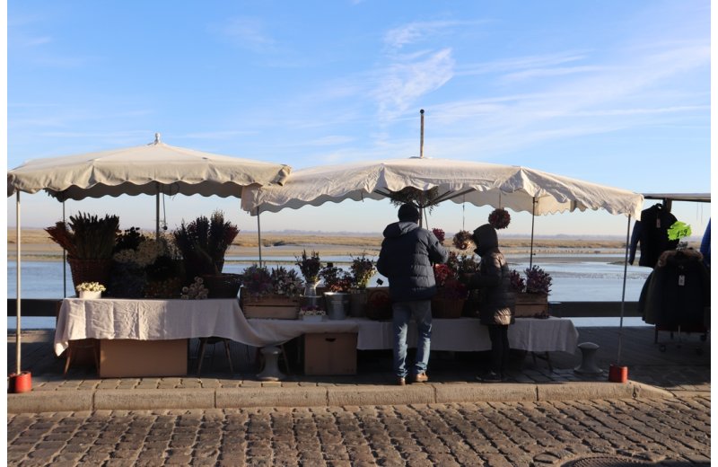 Marché du mercredi