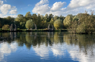 The Bouvaque marsh