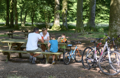 Les circuits en forêt de Crécy