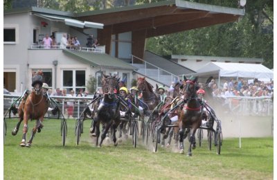 Horse races