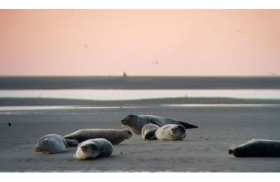 Randonnée Baie de Somme Découverte