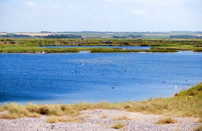 The Hides