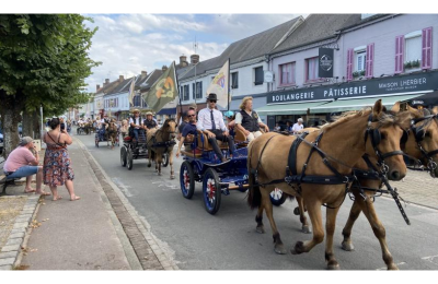 Ferya des Henson Au Haras-Henson de Rue