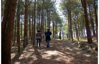 La Dune du Royon
