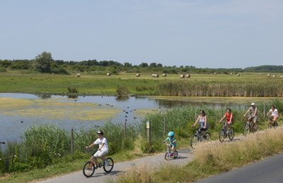 Circuit de l'Avocette